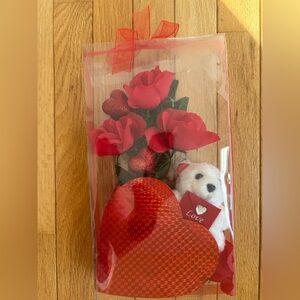 Valentine’s Day Gift